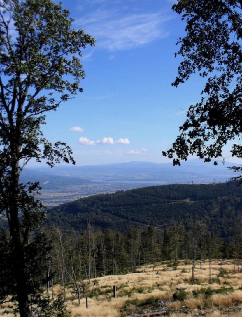 Szyndzielnia Hill # Nestapartamenty Bielsko-Biala