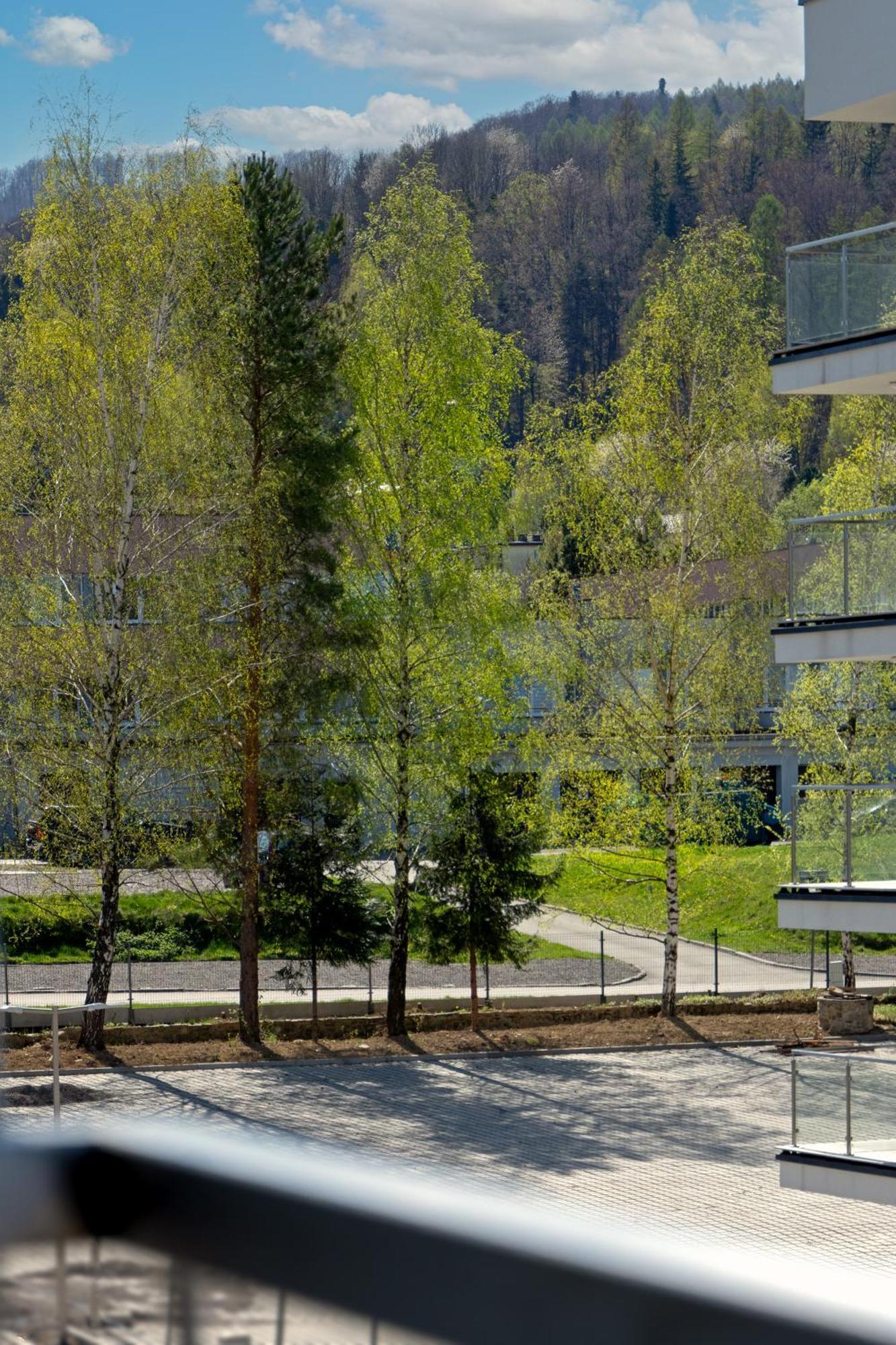 Szyndzielnia Hill # Nestapartamenty